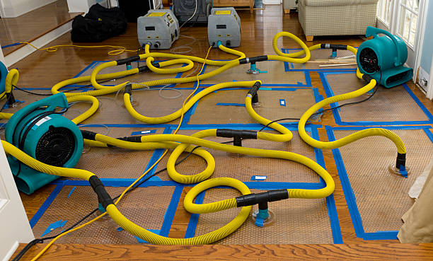 Professional Sewage Cleanup technician working in Vernon, AZ